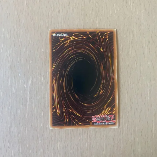 Big Shield Gardna back Big Shield Gardna